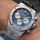 AUDEMARS PIGUET BLUE WHİTE